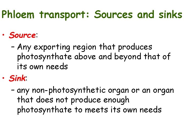 Phloem transport: Sources and sinks • Source: – Any exporting region that produces photosynthate