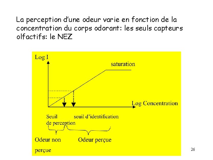 La perception d’une odeur varie en fonction de la concentration du corps odorant: les La perception d’une odeur varie en fonction de la concentration du corps odorant: les