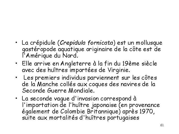 • La crépidule (Crepidula fornicata) est un mollusque gastéropode aquatique originaire de la • La crépidule (Crepidula fornicata) est un mollusque gastéropode aquatique originaire de la