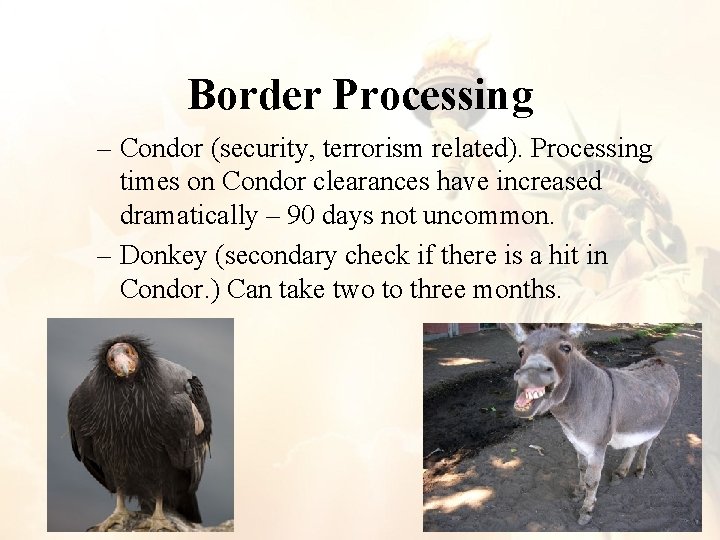 Border Processing – Condor (security, terrorism related). Processing times on Condor clearances have increased Border Processing – Condor (security, terrorism related). Processing times on Condor clearances have increased