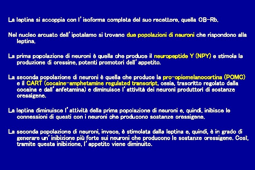 La leptina si accoppia con l’isoforma completa del suo recettore, quella OB-Rb. Nel nucleo