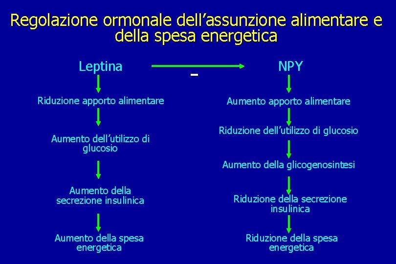 Regolazione ormonale dell’assunzione alimentare e della spesa energetica Leptina Riduzione apporto alimentare Aumento dell’utilizzo