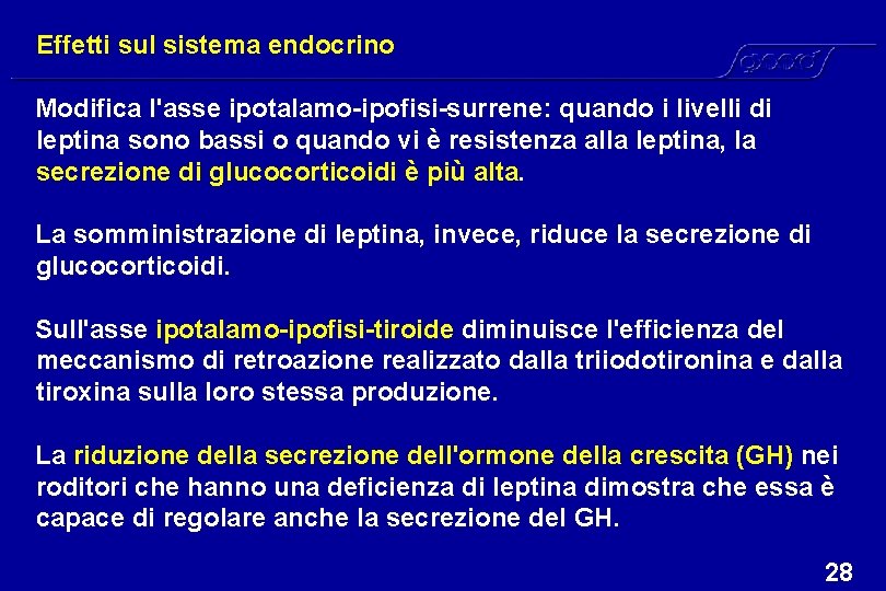 Effetti sul sistema endocrino Modifica l'asse ipotalamo-ipofisi-surrene: quando i livelli di leptina sono bassi