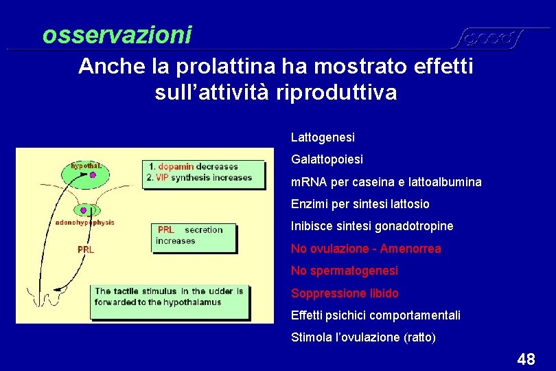 osservazioni Anche la prolattina ha mostrato effetti sull’attività riproduttiva Lattogenesi Galattopoiesi m. RNA per