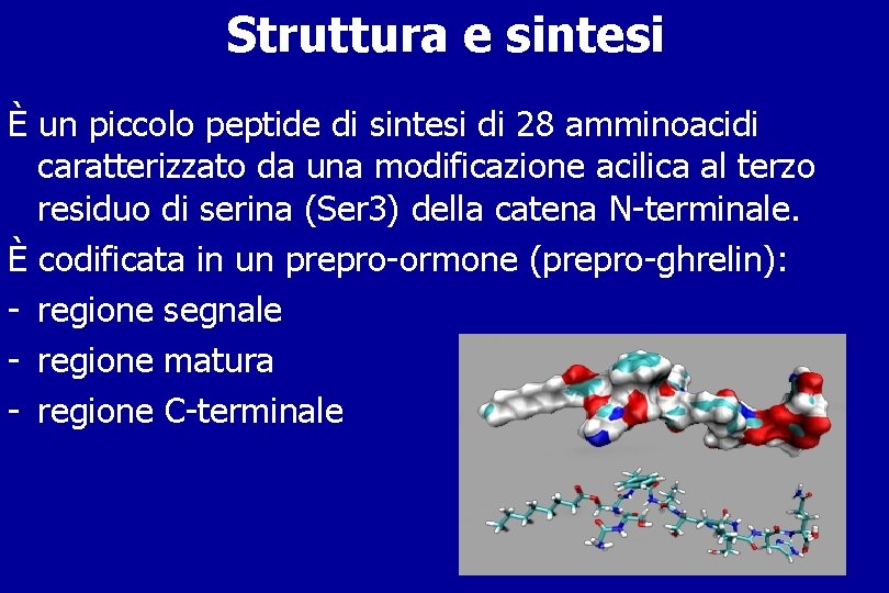 Struttura e sintesi È un piccolo peptide di sintesi di 28 amminoacidi caratterizzato da