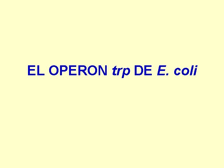 EL OPERON trp DE E. coli 