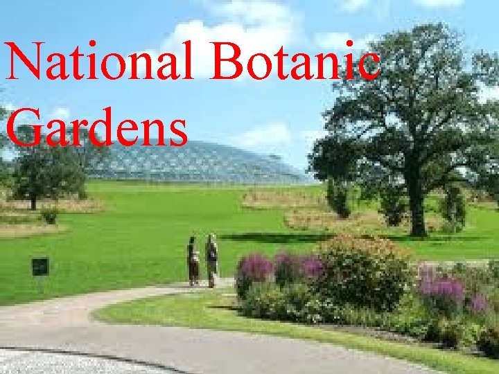 National Botanic Gardens 