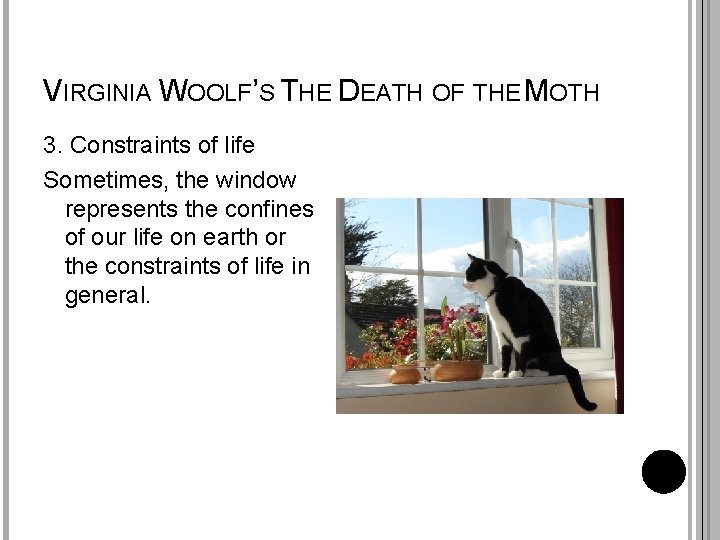 VIRGINIA WOOLF’S THE DEATH OF THE MOTH 3. Constraints of life Sometimes, the window