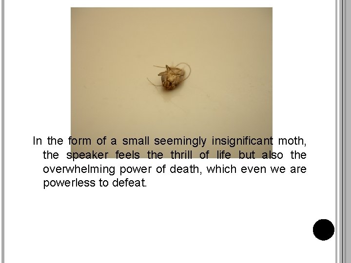 In the form of a small seemingly insignificant moth, the speaker feels the thrill