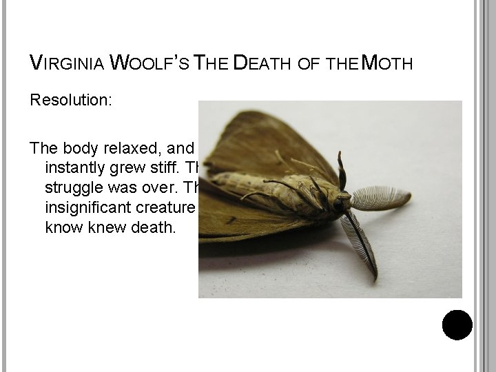 VIRGINIA WOOLF’S THE DEATH OF THE MOTH Resolution: The body relaxed, and instantly grew
