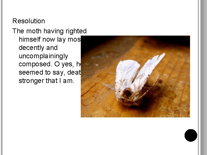 Resolution The moth having righted himself now lay most decently and uncomplainingly composed. O