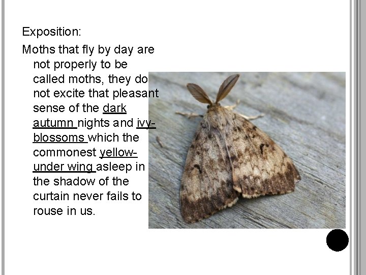 Exposition: Moths that fly by day are not properly to be called moths, they