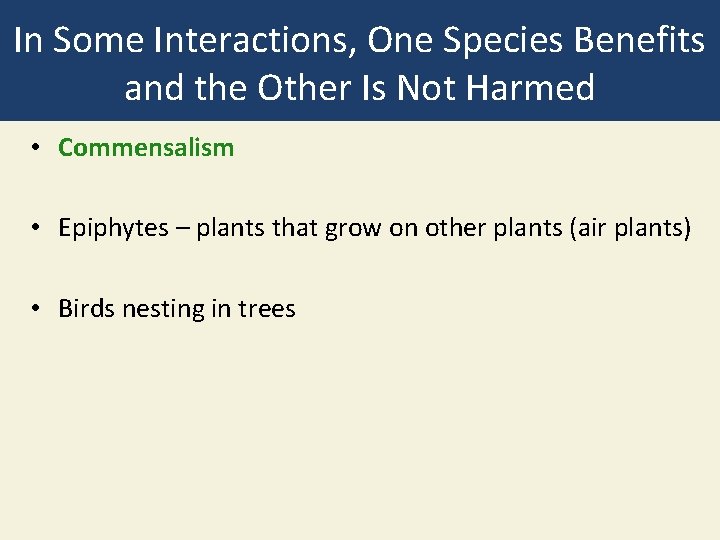 In Some Interactions, One Species Benefits and the Other Is Not Harmed • Commensalism