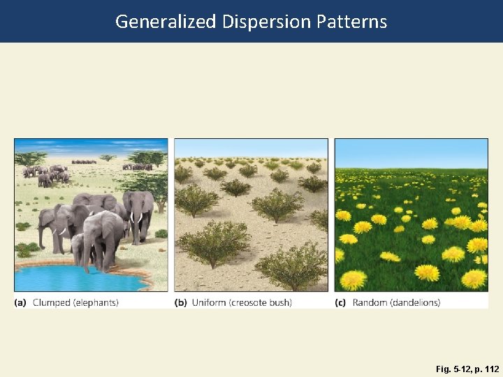 Generalized Dispersion Patterns Fig. 5 -12, p. 112 