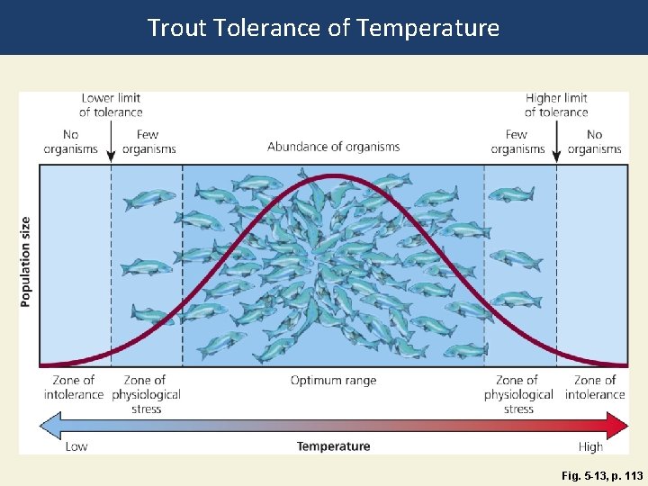 Trout Tolerance of Temperature Fig. 5 -13, p. 113 