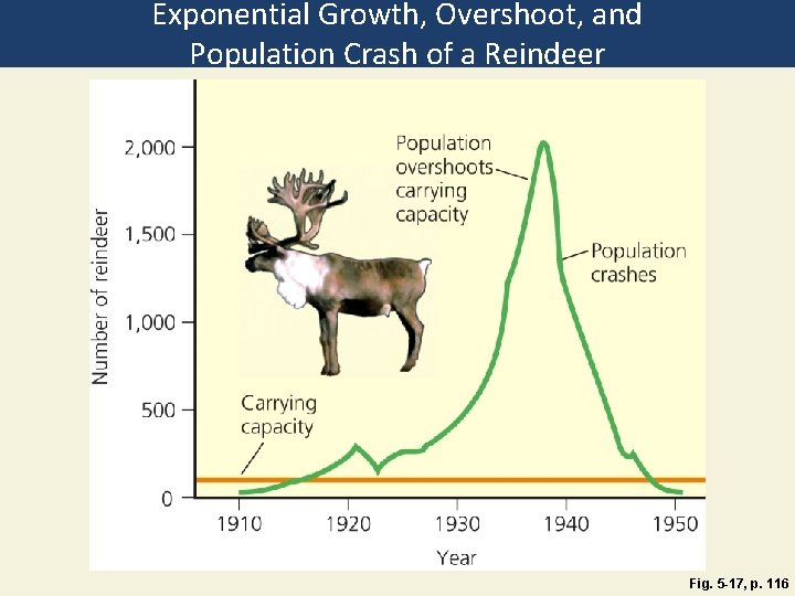 Exponential Growth, Overshoot, and Population Crash of a Reindeer Fig. 5 -17, p. 116