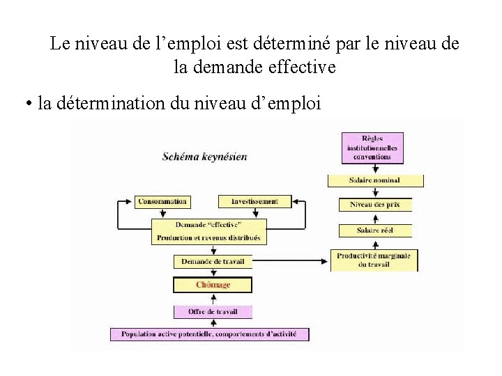 Le niveau de l’emploi est déterminé par le niveau de la demande effective • Le niveau de l’emploi est déterminé par le niveau de la demande effective •