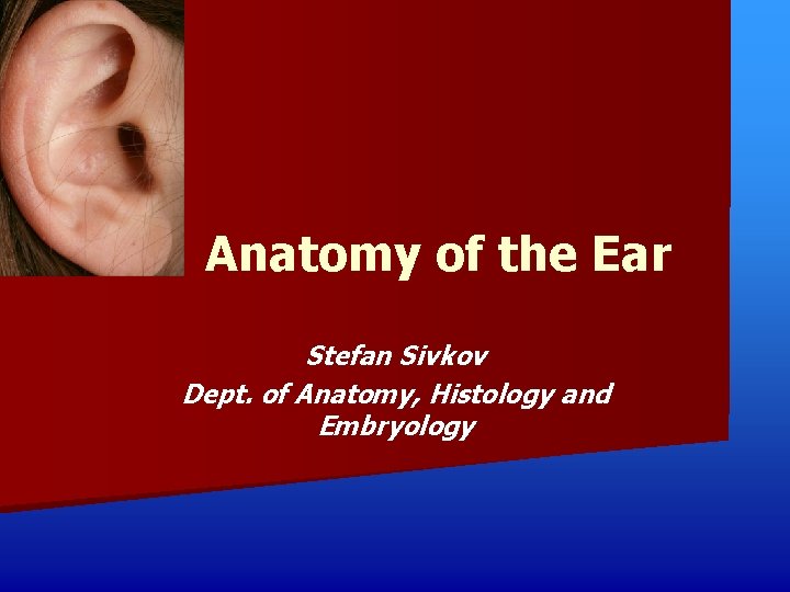 Anatomy of the Ear Stefan Sivkov Dept. of Anatomy, Histology and Embryology 