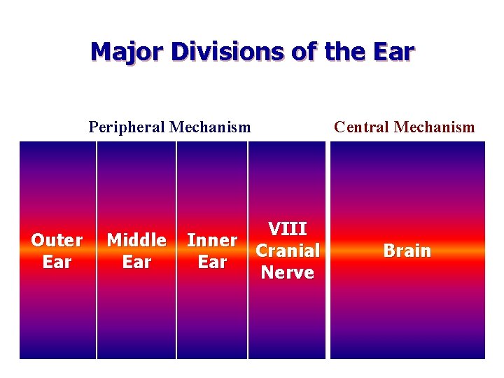 Major Divisions of the Ear Peripheral Mechanism Outer Ear Middle Ear VIII Inner Cranial
