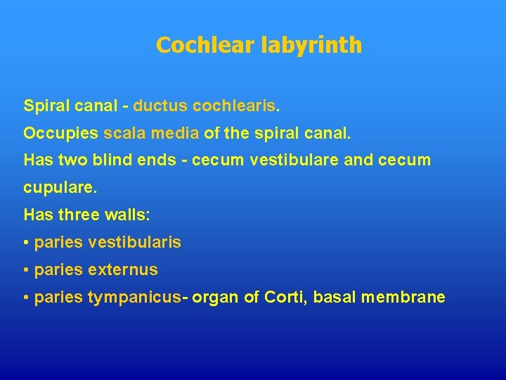 Cochlear labyrinth Spiral canal - ductus cochlearis. Occupies scala media of the spiral canal.