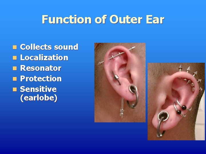 Function of Outer Ear n n n Collects sound Localization Resonator Protection Sensitive (earlobe)