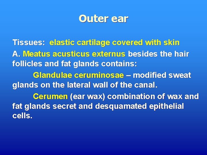 Outer ear Tissues: elastic cartilage covered with skin A. Meatus acusticus externus besides the