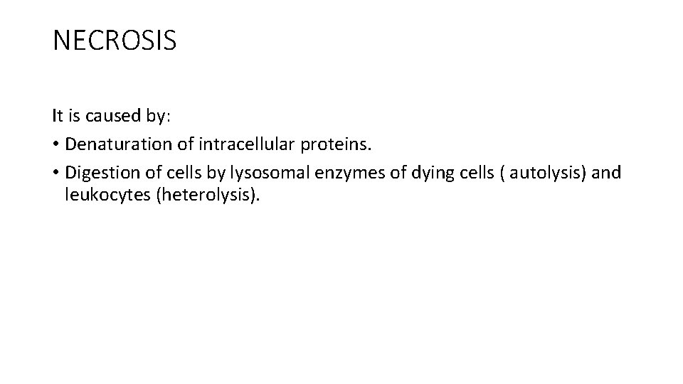 NECROSIS It is caused by: • Denaturation of intracellular proteins. • Digestion of cells