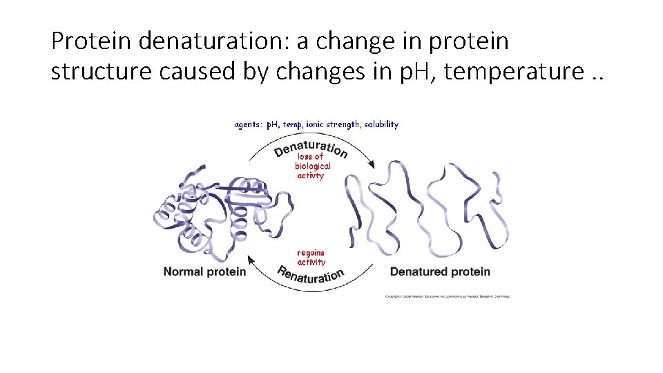 Protein denaturation: a change in protein structure caused by changes in p. H, temperature.