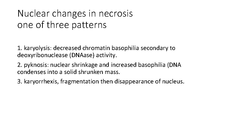 Nuclear changes in necrosis one of three patterns 1. karyolysis: decreased chromatin basophilia secondary