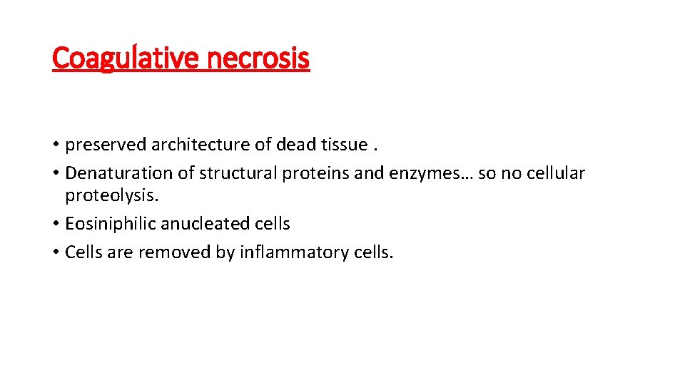 Coagulative necrosis • preserved architecture of dead tissue. • Denaturation of structural proteins and