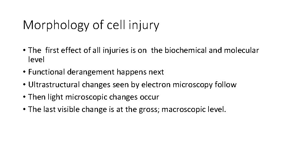 Morphology of cell injury • The first effect of all injuries is on the