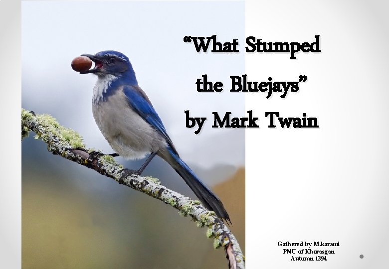 “What Stumped the Bluejays” by Mark Twain Gathered by M. karami PNU of Khorasgan