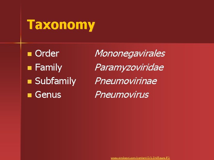 Taxonomy Order n Family n Subfamily n Genus n Mononegavirales Paramyzoviridae Pneumovirinae Pneumovirus www.