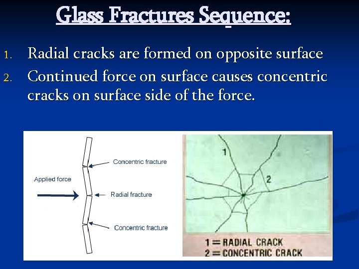 Glass Fractures Sequence: 1. 2. Radial cracks are formed on opposite surface Continued force