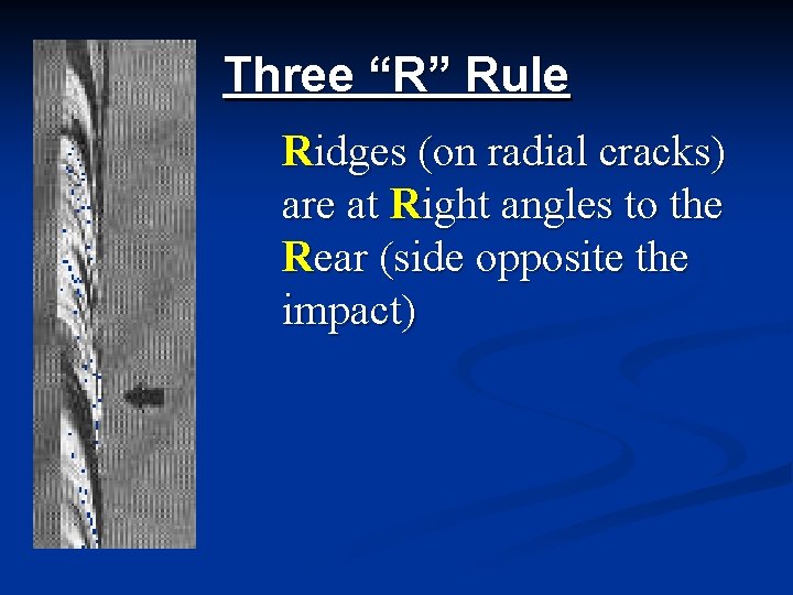 Three “R” Rule Ridges (on radial cracks) are at Right angles to the Rear Three “R” Rule Ridges (on radial cracks) are at Right angles to the Rear