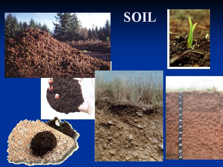 SOIL SOIL