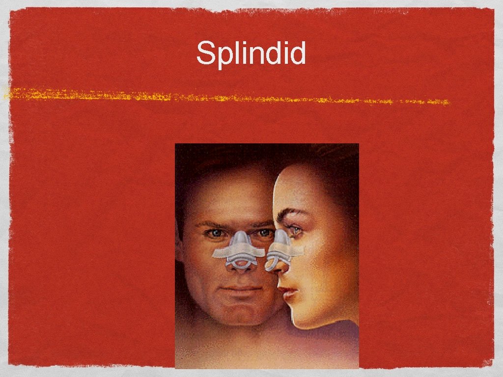 Splindid 