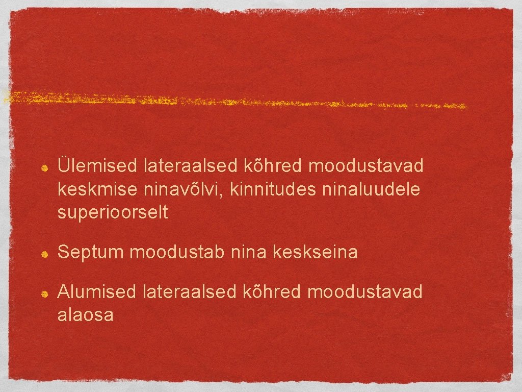 Ülemised lateraalsed kõhred moodustavad keskmise ninavõlvi, kinnitudes ninaluudele superioorselt Septum moodustab nina keskseina Alumised