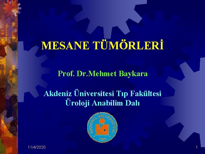 MESANE TÜMÖRLERİ Prof. Dr. Mehmet Baykara Akdeniz Üniversitesi Tıp Fakültesi Üroloji Anabilim Dalı 11/4/2020