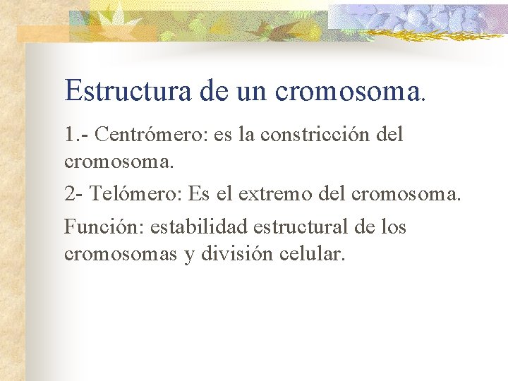 Estructura de un cromosoma. 1. - Centrómero: es la constricción del cromosoma. 2 -