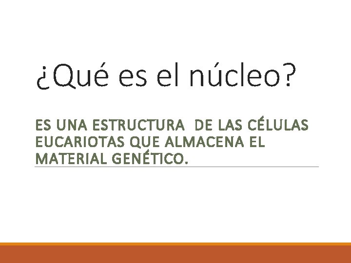 ¿Qué es el núcleo? ES UNA ESTRUCTURA DE LAS CÉLULAS EUCARIOTAS QUE ALMACENA EL