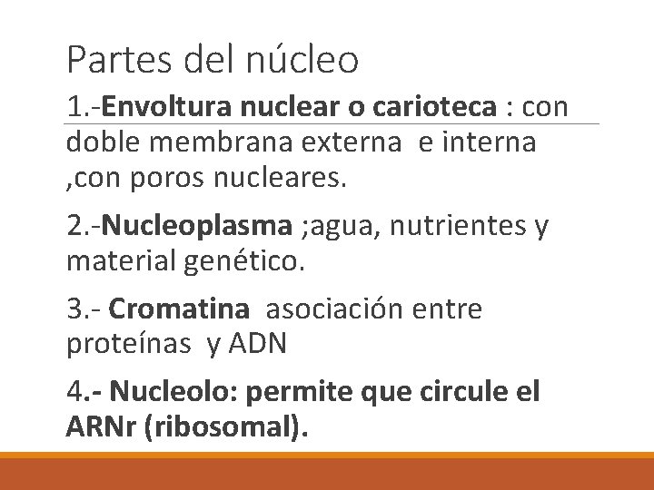 Partes del núcleo 1. -Envoltura nuclear o carioteca : con doble membrana externa e