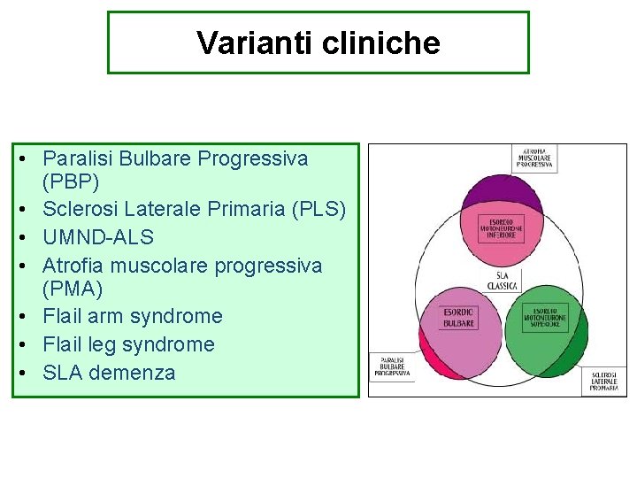 Varianti cliniche • Paralisi Bulbare Progressiva (PBP) • Sclerosi Laterale Primaria (PLS) • UMND-ALS