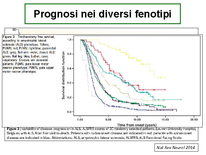 Prognosi nei diversi fenotipi Nat Rev Neurol 2014 
