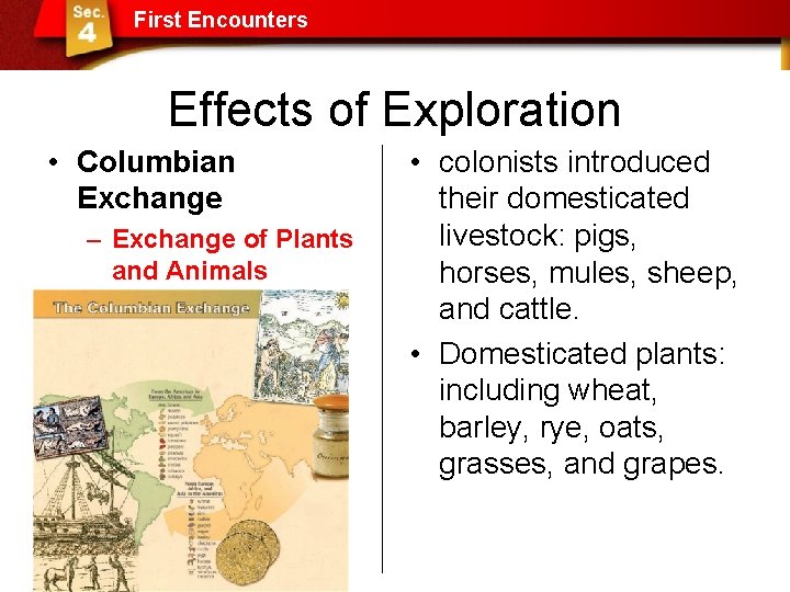 First Encounters Effects of Exploration • Columbian Exchange – Exchange of Plants and Animals