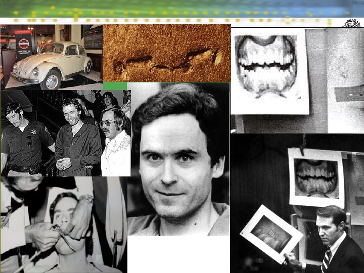 State of Florida v. Ted Bundy 