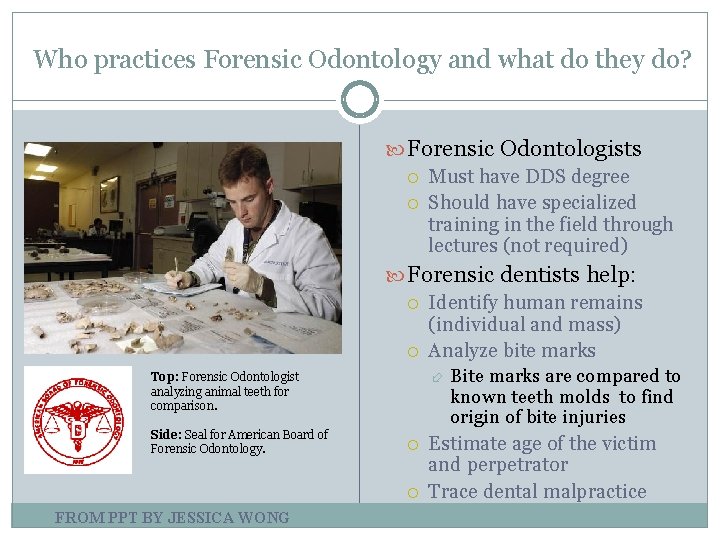 Who practices Forensic Odontology and what do they do? Forensic Odontologists Must have DDS