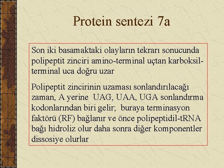 Protein sentezi 7 a Son iki basamaktaki olayların tekrarı sonucunda polipeptit zinciri amino-terminal uçtan