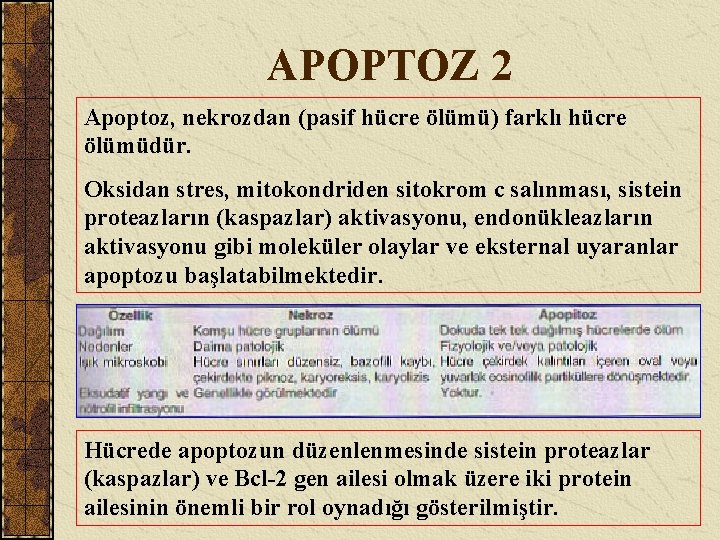 APOPTOZ 2 Apoptoz, nekrozdan (pasif hücre ölümü) farklı hücre ölümüdür. Oksidan stres, mitokondriden sitokrom