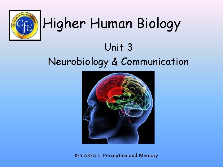 Higher Human Biology Unit 3 Neurobiology & Communication KEY AREA 2: Perception and Memory